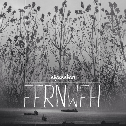 Ağaçkakan - Teneke Trampet