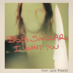 Bob Sinclar ft. Ce Ce Rogers - I Want You (DJ Licious Remix)