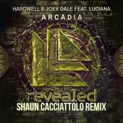 Hardwell & Joey Dale Feat. Luciana - Arcadia (Shaun Cacciattolo Remix)