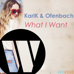 KarlK & Ofenbach - What I Want