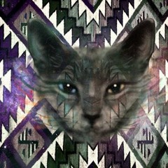 Dixon's Violin sampled (live looped electric violin)