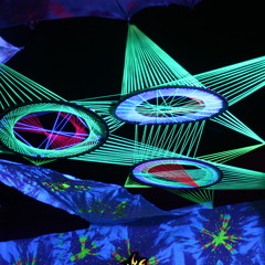 AKD  -Live @  celebriation Festival  02