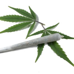 Snag És Fütyi - Joint