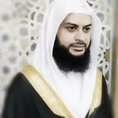 ما تيسر من سورة فصلت 2 || حاتم فريد