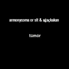 armonycoma or slt & ağaçkakan - tümör