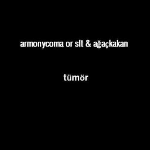 armonycoma or slt & ağaçkakan - tümör
