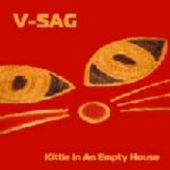 V - Sag - Kittie In An Empty House (Matt Rowan & Jaytech Remix)