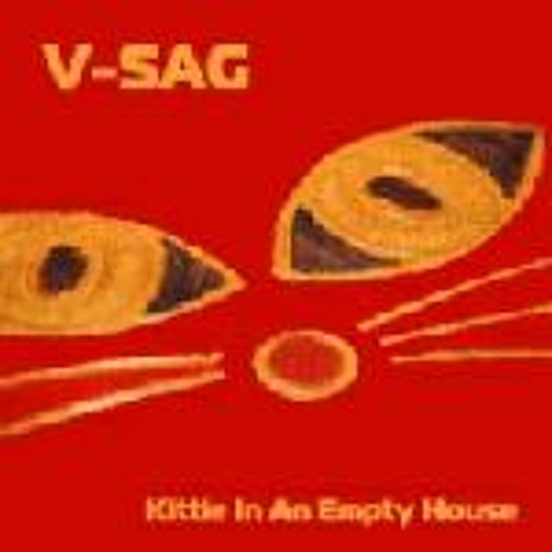 V - Sag - Kittie In An Empty House (Matt Rowan & Jaytech Remix)