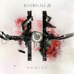 Assemblage 23 - Noise Inside My Head (MOOD90 Remix)