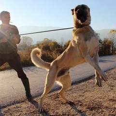 Kan Ve Ter - Dur (deneme intro)aksaray malaklisi