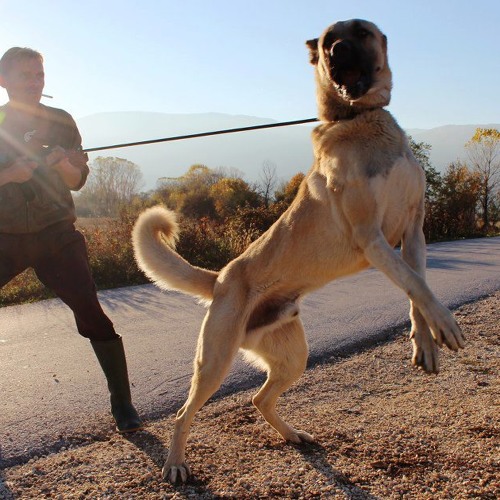 Kan Ve Ter - Dur (deneme intro)aksaray malaklisi