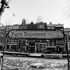 Never Got (Pure Dopeness Vol.14)