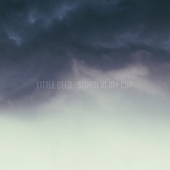 Little Deed - STORM IN MY CUP