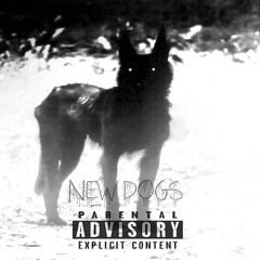 New Dogs