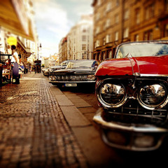 Circuit Festival  Simon Prizzi 2014