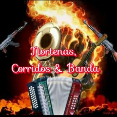 Si Tú Quisieras -2014- Banda Cuisillos By Dj Iory