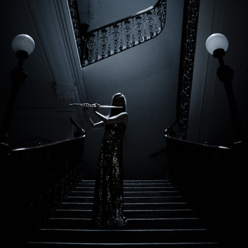 Puckett The Shadow Of Sirius  III. Into The Cloud