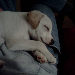 Ancient Understanding