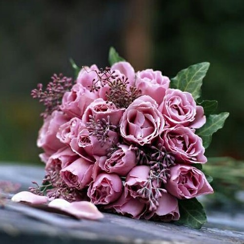 حبيبي صباح الخير