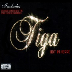 Tiga – Hot In Herre (DevilFeeL Vs Nelly Remix)