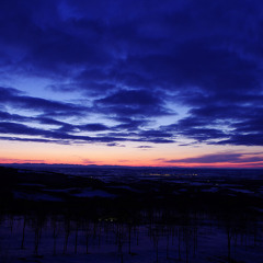 Between Transparency And Sedecim