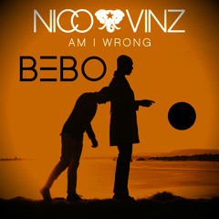 Am I Wrong (BEBO bootleg mix)