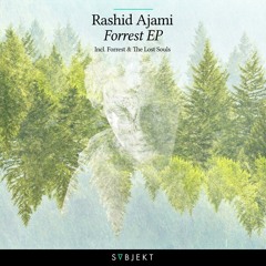 Rashid Ajami - The Lost Souls (Original Mix)