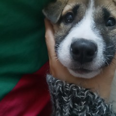 Mashup- Chỉ là Yêu Một ngày mới Đẹp trời