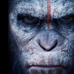 I Thought We Had a Chance