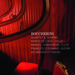 Boccherini: Concerto Per Violoncello In Sol Maggiore G 480-Allegro —Accademia Ottoboni & M. Ceccato