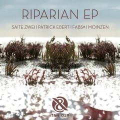 Saite Zwei - Riparian (Moinzen Remix)