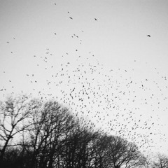 ritmo - anemos