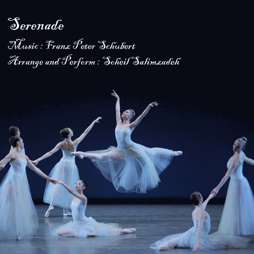 Soheil Salimzadeh - Serenade (Composed by Franz Schubert)
