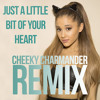 Just A Little Bit Of Your Heart Mp3