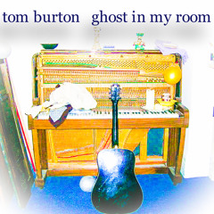 Ghost in my Room