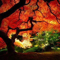 JIMEK - Hypnotixx (Miasto 44 Dubstep)