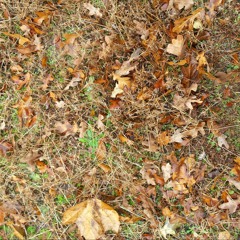 i just really love whorefrost