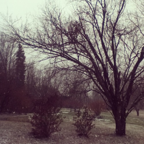 Barton Hollow by The Civil Wars