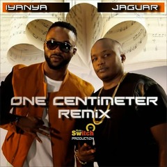 One Centimeter  Remix