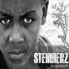 Steinherz (Instrumental mix)