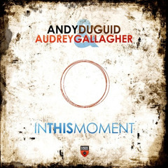[2013] Andy Duguid feat. Audrey Gallagher - In This Moment (Karanda Remix)