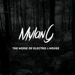 The Best electro House Dance Mix 2014 / MylanG Mix #2 (deejay live)