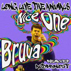 AcdBrnOut - Nice One Bruva (Tempore Remix) [Free on LLTA]