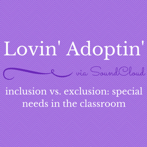 Inclusion Vs Exclusion  Special Needs In The Classroom