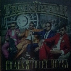 Trailerpark -Sexualethisch Desorientiert