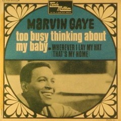 System Of Survival - Don Key - (Re - Edit Marvin Gaye - Too Busy Thinking About My Baby)
