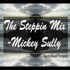 The Steppin Mix (Twenty Queef Trumpsta)