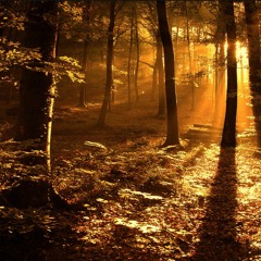 Atardecer