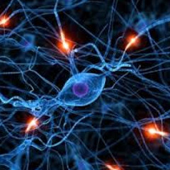 What is Behavioural Finance with Simon Russell