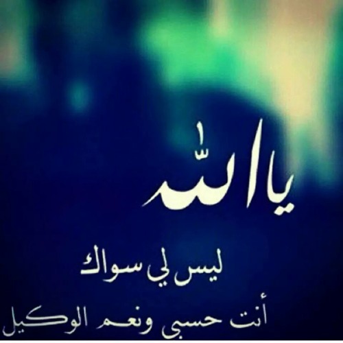 الشيخ محمد الطوخى - ماشى فى نور الله - جودة عالية - HD